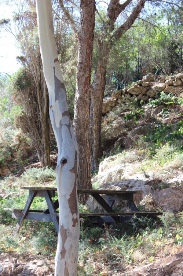 הוילה פאביננה La Pineta מראה חיצוני תמונה