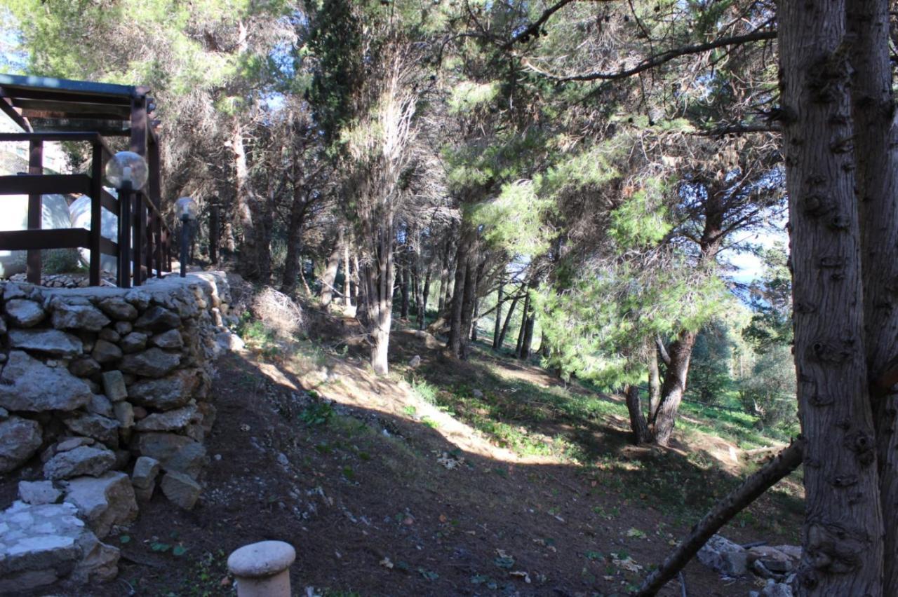 הוילה פאביננה La Pineta מראה חיצוני תמונה