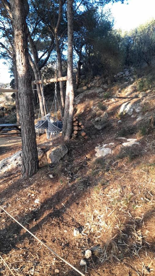 הוילה פאביננה La Pineta מראה חיצוני תמונה