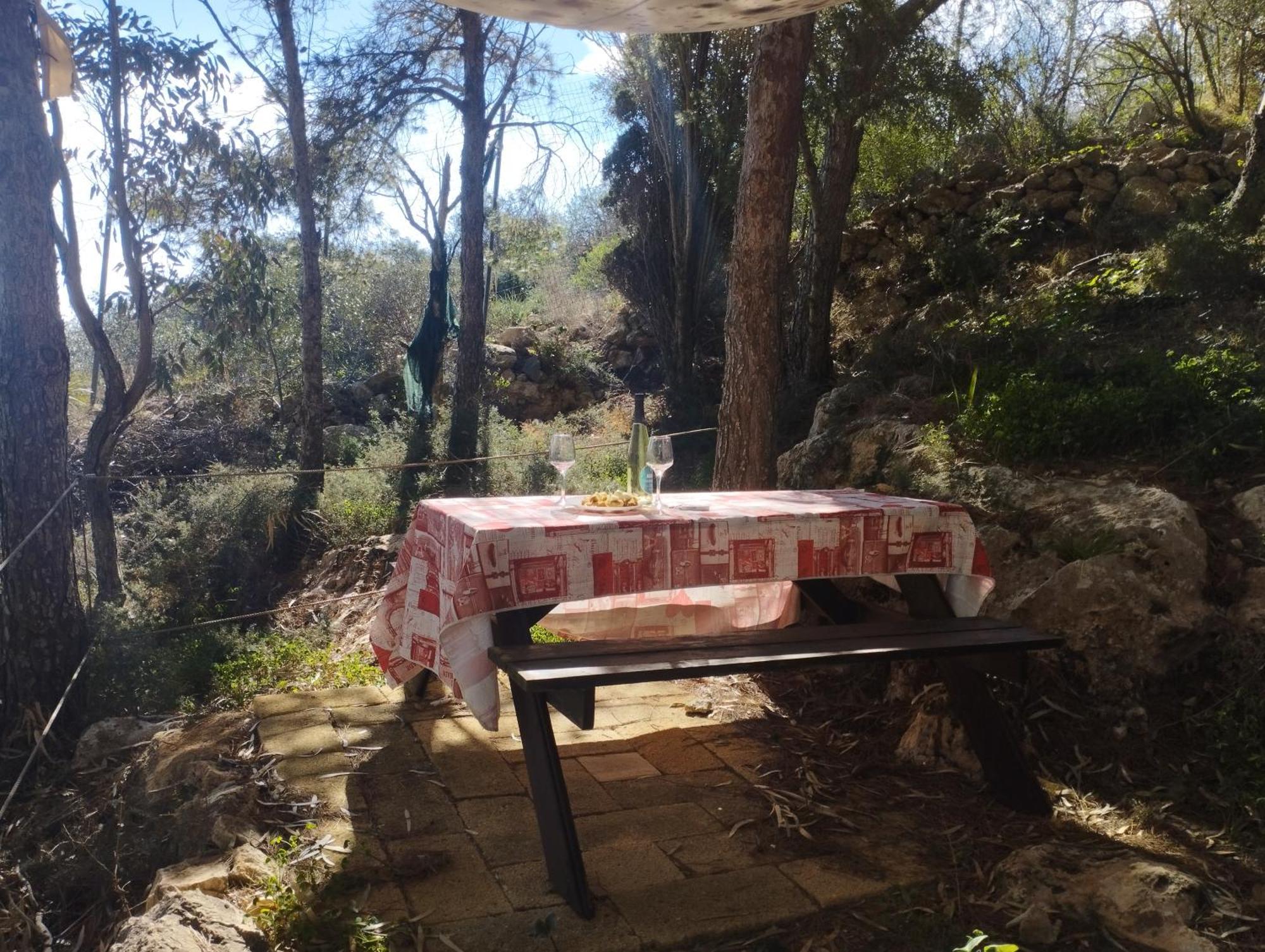 הוילה פאביננה La Pineta מראה חיצוני תמונה
